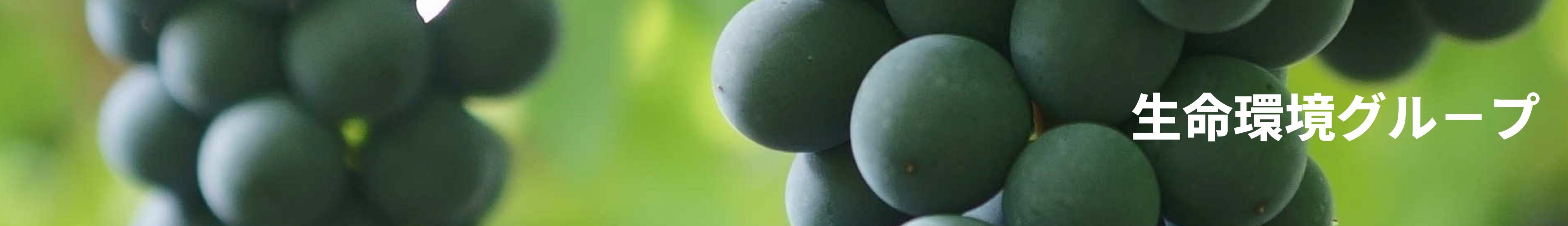 生命環境グループ